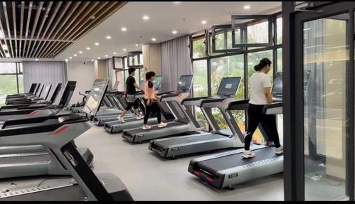 石家庄新添全民健身文化活动中心 助力市民健康生活