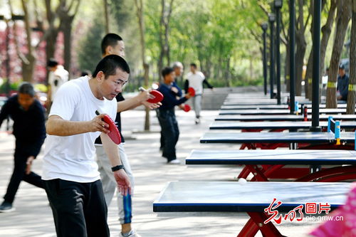 河北栾城 全民健身，快乐运动的台球盛宴