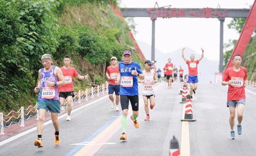 2024中国户外健身休闲大会首站桑植站圆满落幕，特色台球活动引来喝彩